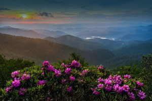 Smoky Mountains in the Spring