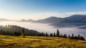 Smoky Mountain View