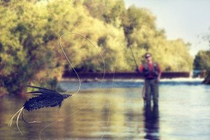 Man fishing in a river in the Smoky Mountains